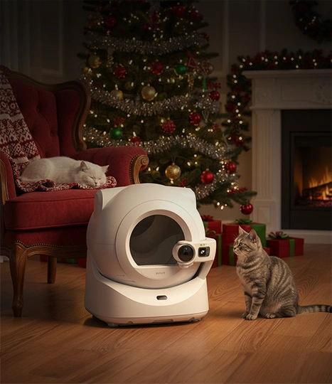 Kot patrzy na kuwetę Petkit, w tle choinka i drugi kot śpiący na fotelu