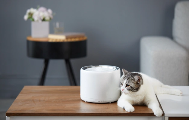 Poznaj nasze bestsellery Petkit