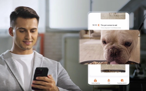 Jak aplikacja PETKIT ułatwia opiekę nad zwierzakiem?