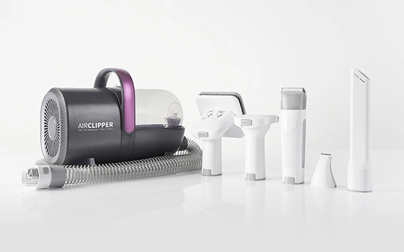 Jak zadbać o sierść kota w domu?