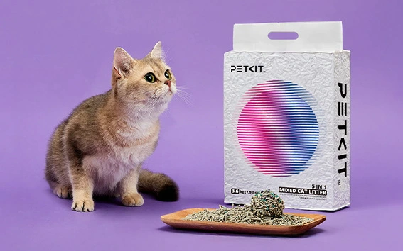 Ekologiczne wkłady żwirkowe polecane przez PetKit – skład i korzyści dla środowiska