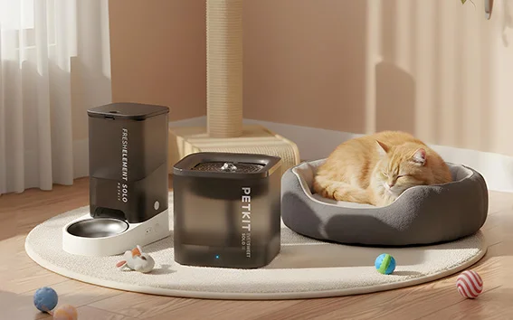 Strefa kota w domu – jak urządzić kącik idealny?